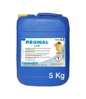REGINAL LTR - ANTISTATICO PURO /5 Kg